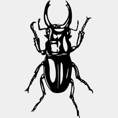 EARWIG Thumbnail
