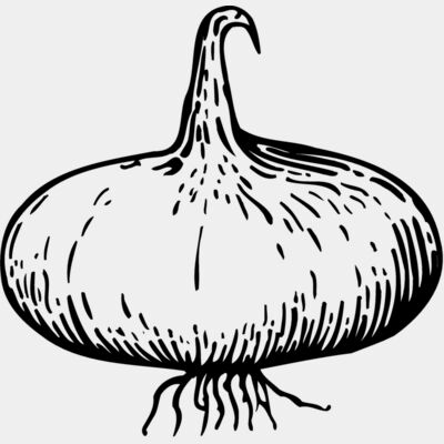 VEG004 Thumbnail