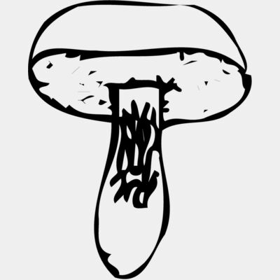 VEG028 Thumbnail