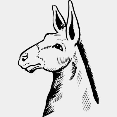 Donkey Thumbnail