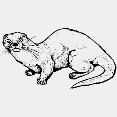 Otter Thumbnail