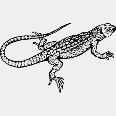 Lizard Thumbnail