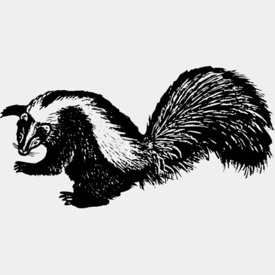 Skunk Thumbnail
